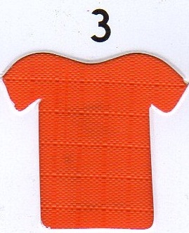 Ripstop Parasut Orange